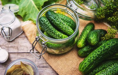 Taze salatalıkların korunması. Seçici odaklanma. Doğa