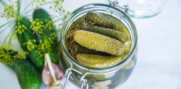 Aufbewahrung Von Frischen Hausgurken Selektiver Fokus Natur — Stockfoto