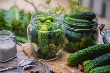 Taze salatalıkların korunması. Seçici odaklanma. Doğa