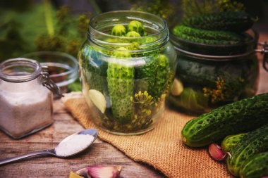 Taze salatalıkların korunması. Seçici odaklanma. Doğa