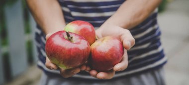 Elma hasadı bir adamın elinde. Seçici odaklanma. Doğa.