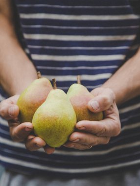 Armut hasadı bir adamın ellerinde. Seçici odaklanma. Doğa.