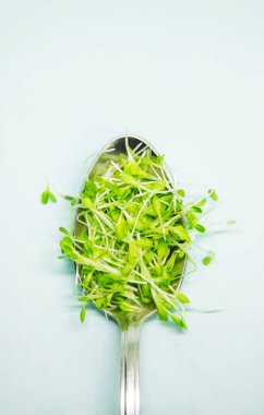 Beyaz arka planda mikroyeşil marul filizleri var. Seçici odaklanma. Doğa.