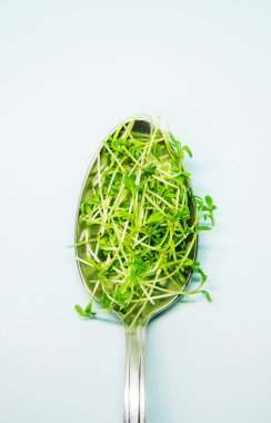 Beyaz arka planda mikroyeşil marul filizleri var. Seçici odaklanma. Doğa.