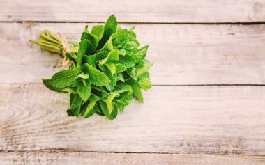 Bahçeden taze ev yapımı sebzeler. Seçici odaklanma. Doğa.