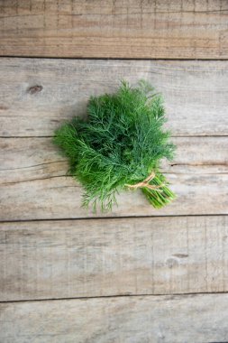 Bahçeden taze bitkiler. Dill. Seçici odaklanma. Doğa.