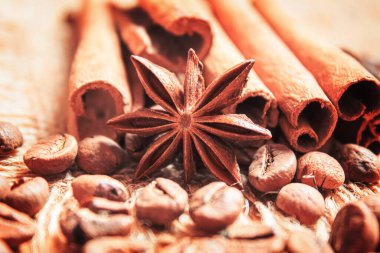 Anise yıldızları ve tarçın kızarmış kahve çekirdekleri üzerinde. Seçici odak noktası.