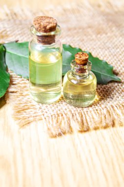 Küçük bir şişede defne yaprağı yağı. Seçici odaklanma doğası.