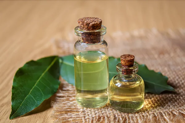 bay leaf oil in a small bottle.selecve focus nature