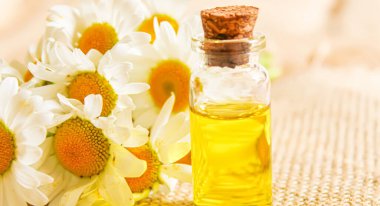 Papatya çayı, küçük bir şişe içinde yağmalama. Seçici odaklanma. Doğa 