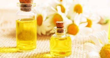 Papatya çayı, küçük bir şişe içinde yağmalama. Seçici odaklanma. Doğa 