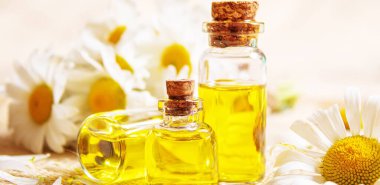 Papatya çayı, küçük bir şişe içinde yağmalama. Seçici odaklanma. Doğa 