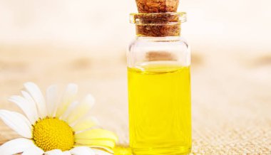 Papatya çayı, küçük bir şişe içinde yağmalama. Seçici odaklanma. Doğa 