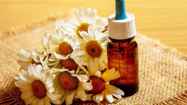 Papatya çayı, küçük bir şişe içinde yağmalama. Seçici odaklanma. Doğa 