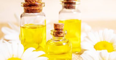 Papatya çayı, küçük bir şişe içinde yağmalama. Seçici odaklanma. Doğa 