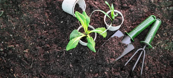 Land and gardening supplies. Garden. Selective focus nature