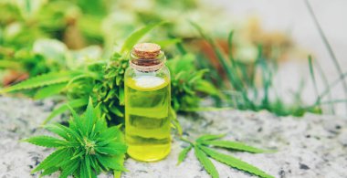 Küçük bir kavanozda esrar yağı. Seçici odaklanma. Doğa.