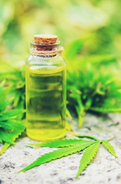 Küçük bir kavanozda esrar yağı. Seçici odaklanma. Doğa.