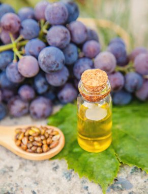 Küçük bir kavanozda üzüm tohumu yağı. Seçici odaklanma. Doğa.