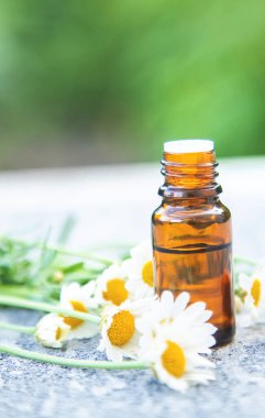 Papatya yağı küçük bir şişede. Seçici odaklanma. Doğa.