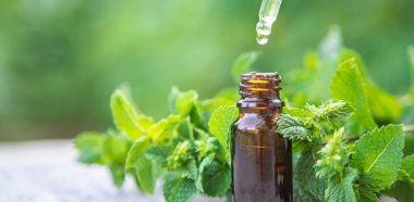 Küçük bir şişede nane yağı. Seçici odaklanma. Doğa.