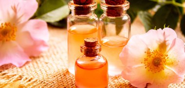 Gül esaslı yağ gül gemisi Seçici odak.