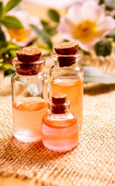 Gül esaslı yağ gül gemisi Seçici odak.