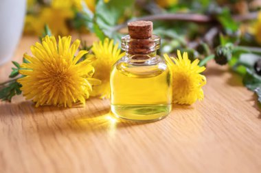 Küçük bir şişede Celandine karahindiba özü, tedavi, ilaç, tentür. Seçici odaklanma. Doğa