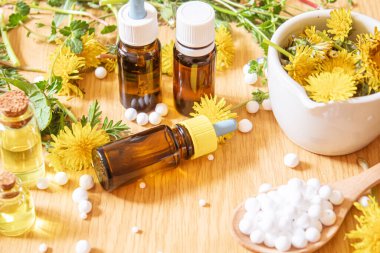 Küçük bir şişede Celandine karahindiba özü, tedavi, ilaç, tentür. Seçici odaklanma. Doğa