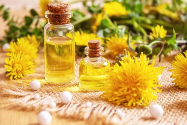 Küçük bir şişede Celandine karahindiba özü, tedavi, ilaç, tentür. Seçici odaklanma. Doğa