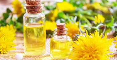 Küçük bir şişede Celandine karahindiba özü, tedavi, ilaç, tentür. Seçici odaklanma. Doğa