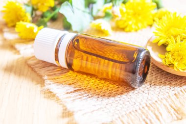 Küçük bir şişede Celandine karahindiba özü, tedavi, ilaç, tentür. Seçici odaklanma. Doğa