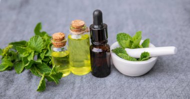 Şifalı bitkiler. Nane Seçici Odaklanma Doğası