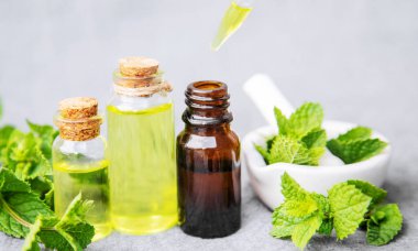 Şifalı bitkiler. Nane Seçici Odaklanma Doğası