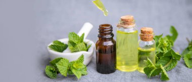 Şifalı bitkiler. Nane Seçici Odaklanma Doğası