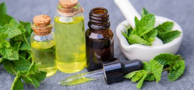 Şifalı bitkiler. Nane Seçici Odaklanma Doğası