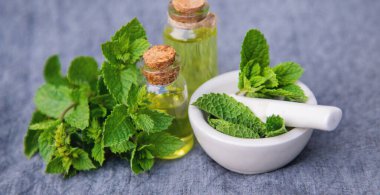 Şifalı bitkiler. Nane Seçici Odaklanma Doğası