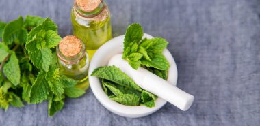 Şifalı bitkiler. Nane Seçici Odaklanma Doğası