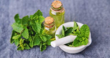 Şifalı bitkiler. nane Seçici odak