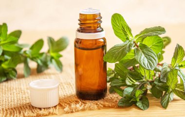 Küçük bir kavanozda ısırgan otu özü. Seçici odak.