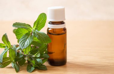 Küçük bir kavanozda ısırgan otu özü. Seçici odak.