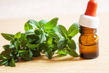 Küçük bir kavanozda ısırgan otu özü. Seçici odak.