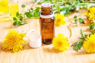 Küçük bir şişede Celandine karahindiba özü, tedavi, ilaç, tentür. Seçici odaklanma. Doğa