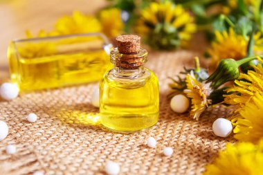 Küçük bir şişede Celandine karahindiba özü, tedavi, ilaç, tentür. Seçici odaklanma. Doğa