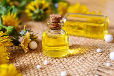 Küçük bir şişede Celandine karahindiba özü, tedavi, ilaç, tentür. Seçici odaklanma. Doğa