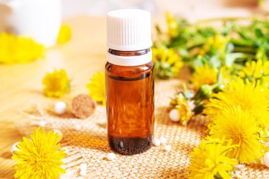 Küçük bir şişede Celandine karahindiba özü, tedavi, ilaç, tentür. Seçici odaklanma. Doğa