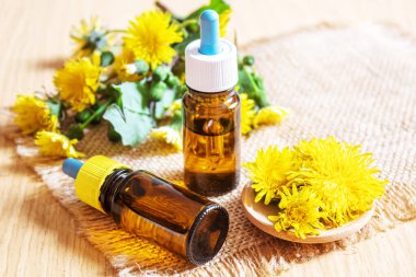 Küçük bir şişede Celandine karahindiba özü, tedavi, ilaç, tentür. Seçici odaklanma. Doğa