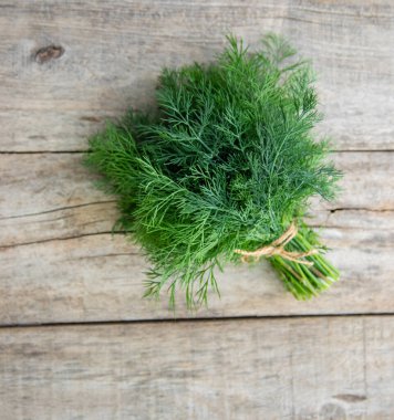 Bahçeden taze bitkiler. Dill. Seçici odaklanma. Doğa.