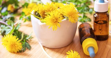 Küçük bir şişede Celandine karahindiba özü, tedavi, ilaç, tentür. Seçici odaklanma. Doğa