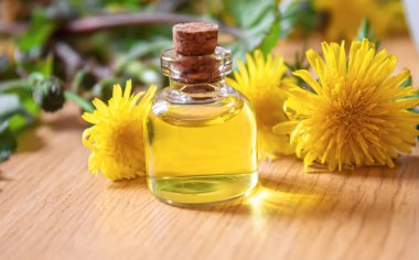 Küçük bir şişede Celandine karahindiba özü, tedavi, ilaç, tentür. Seçici odaklanma. Doğa
